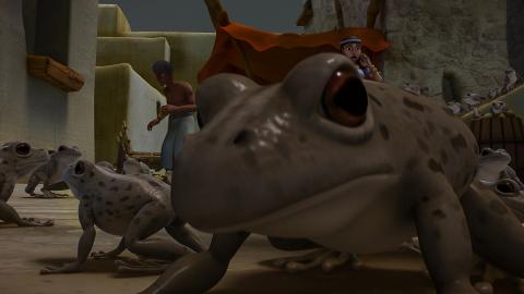Frogs looking at the viewer