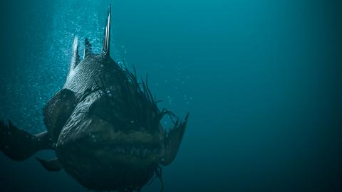A giant fish under the water