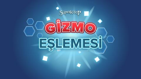 Gizmo Eşlemesi