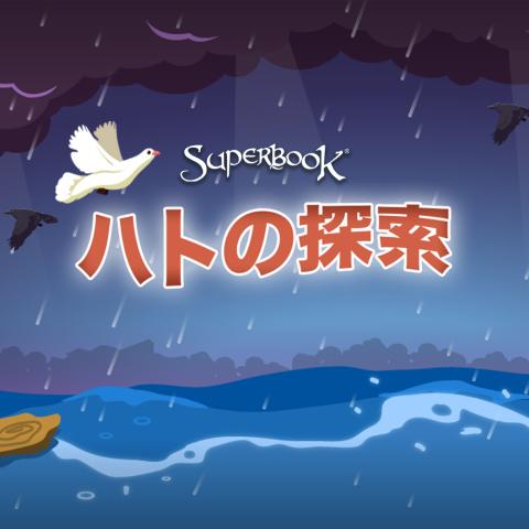 ハトの探索
