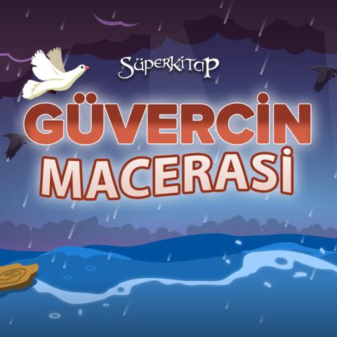 Güvercin Macerası