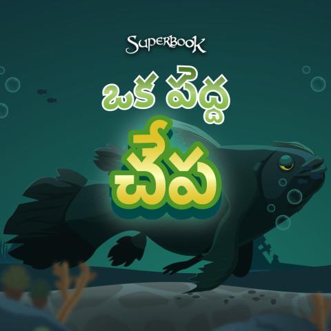 ఒక పెద్ద చేప