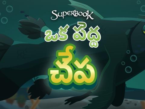 ఒక పెద్ద చేప